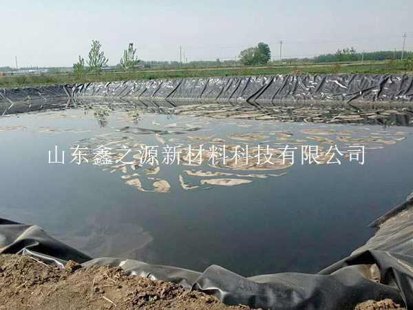 養殖防滲膜裁剪技巧：確保效果，不減效能