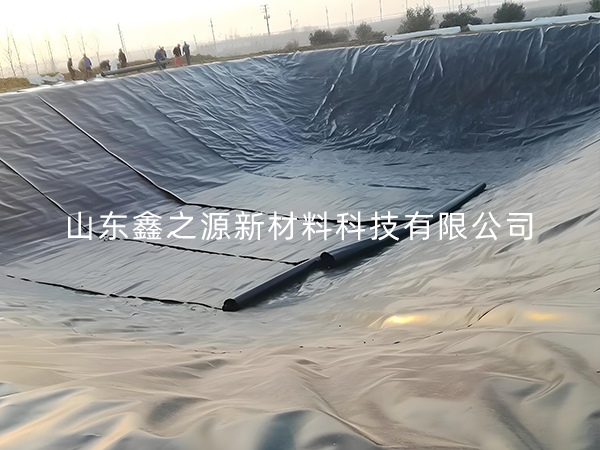 選擇防滲土工膜進(jìn)行小龍蝦養(yǎng)殖有哪些要點(diǎn)技巧？